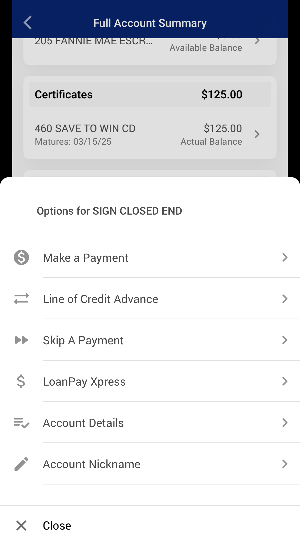 Screenshot of Mobile App Skip Payment